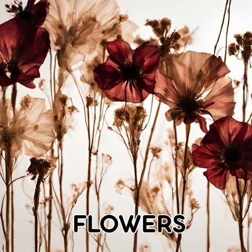 Fresh flowers for decorating Nikkah gift box | Khaas Items